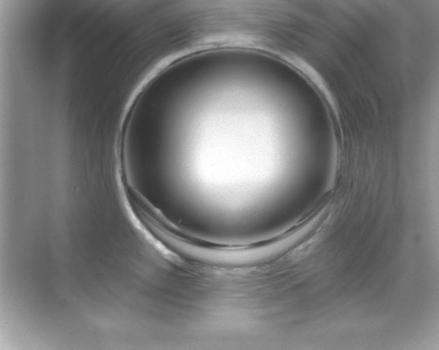 X0000070821389200606301851