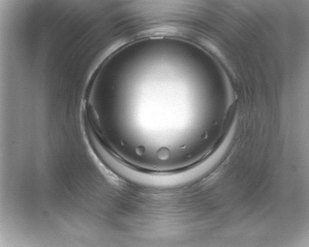 X0000070821426200606301851