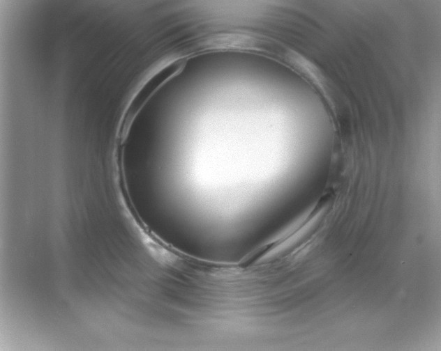X0000070821434200606301851