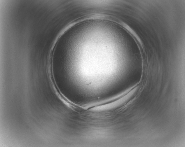 X0000070821437200606301851