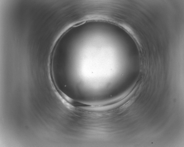 X0000070821438200606301851