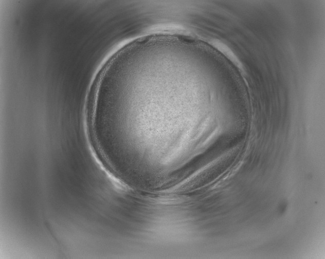 X0000070821440200606301851