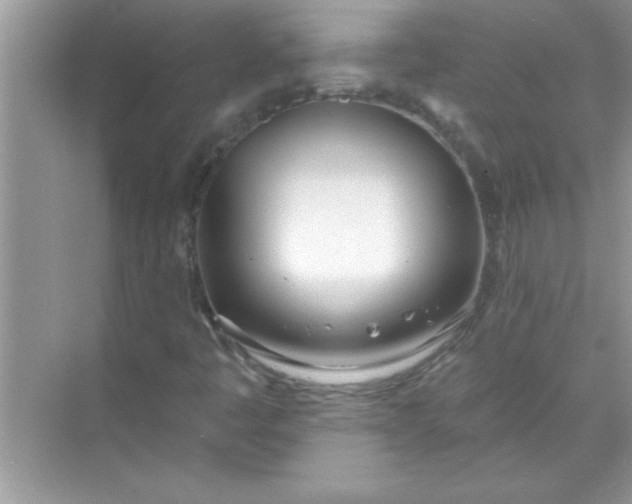 X0000070821445200606301850