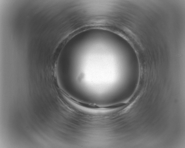 X0000070821449200606301850
