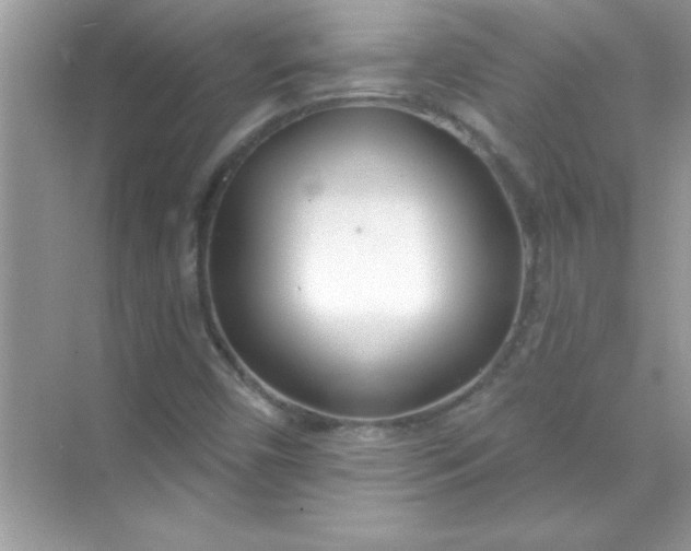 X0000070821450200606301850