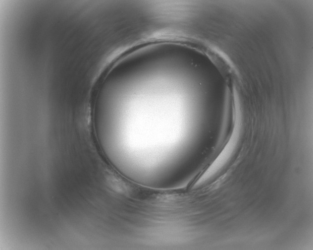 X0000070821461200606301850