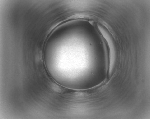 X0000070821465200606301850