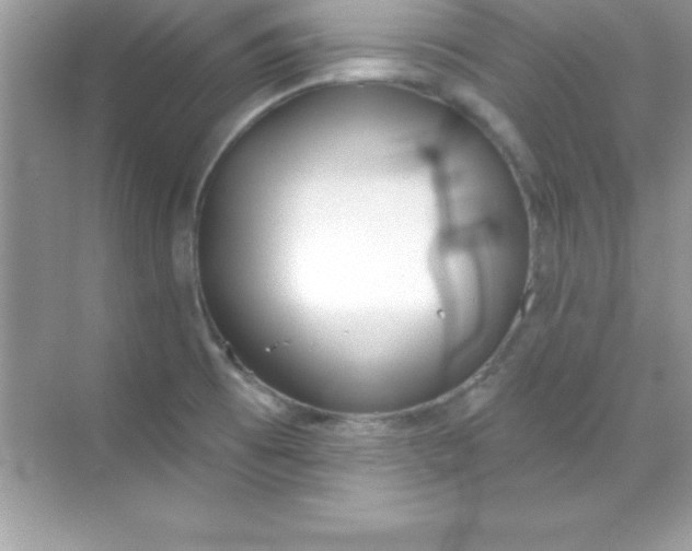 X0000070821473200606301850