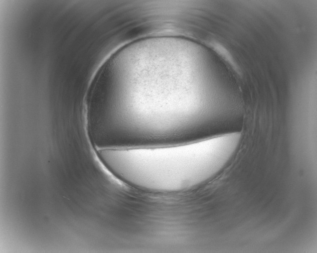X0000070821476200606301849