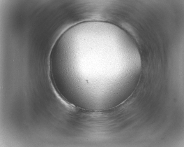 X0000070821479200606301849