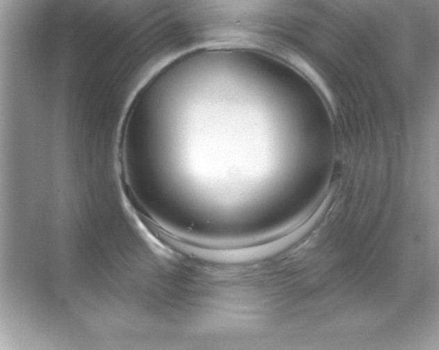 X0000070821485200606301849
