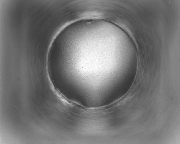 X0000070821488200606301849