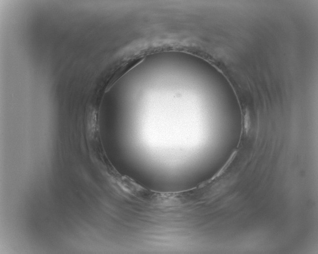 X0000070821492200606301849