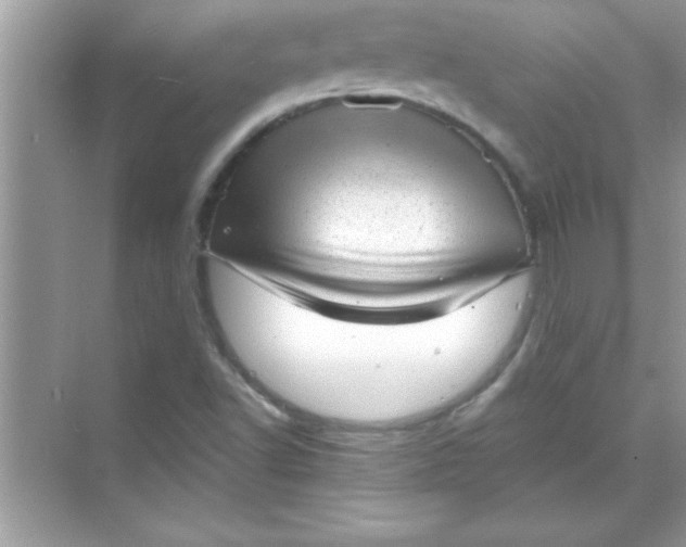 X0000070821502200606301849