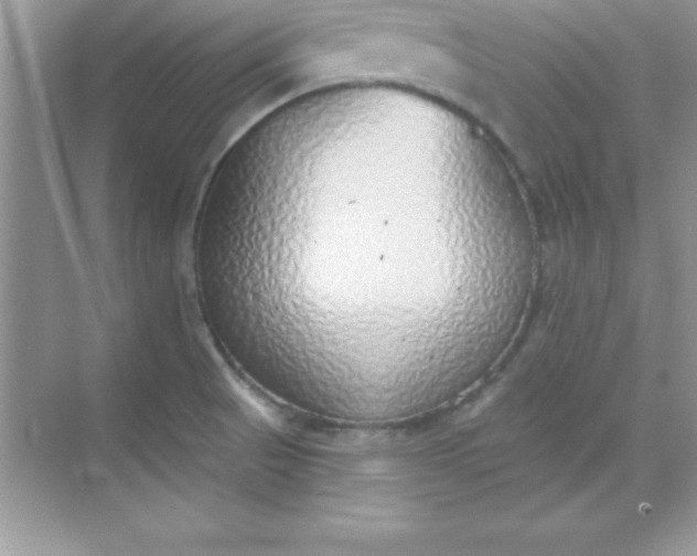 X0000070821521200606301849