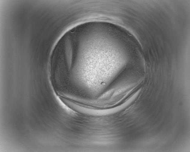 X0000070821531200606301849