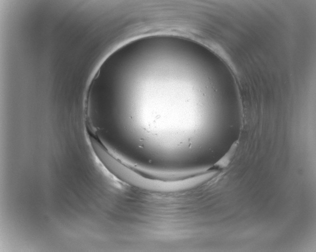 X0000070821532200606301849