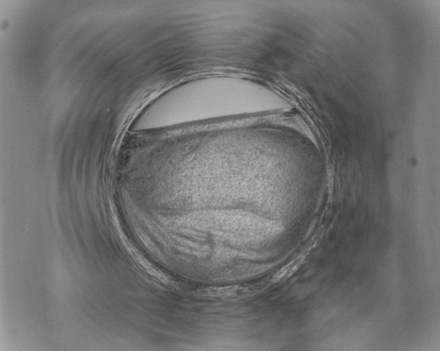 X0000070820049200607071727