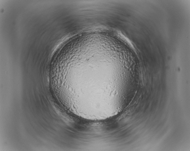 X0000070820059200607071727