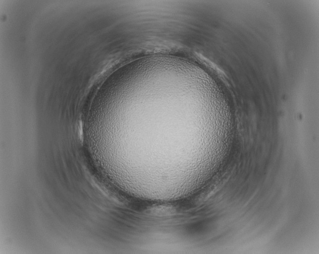 X0000070820067200607071727