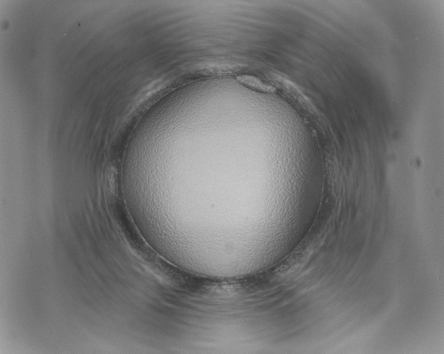 X0000070820071200607071727