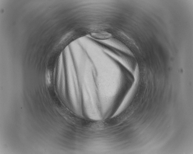 X0000070820075200607071727
