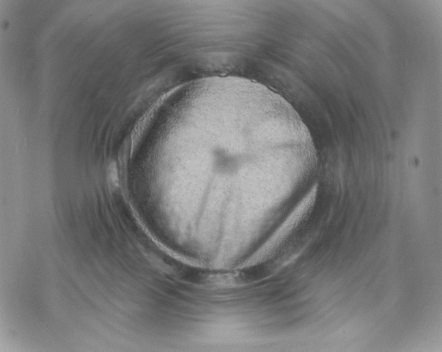 X0000070820089200607071727