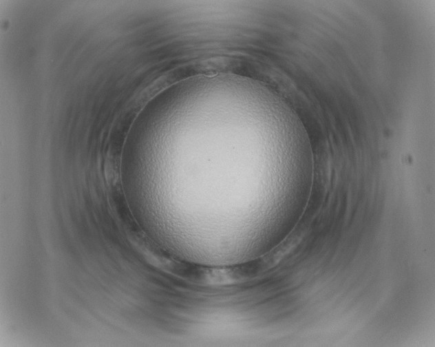 X0000070820091200607071727