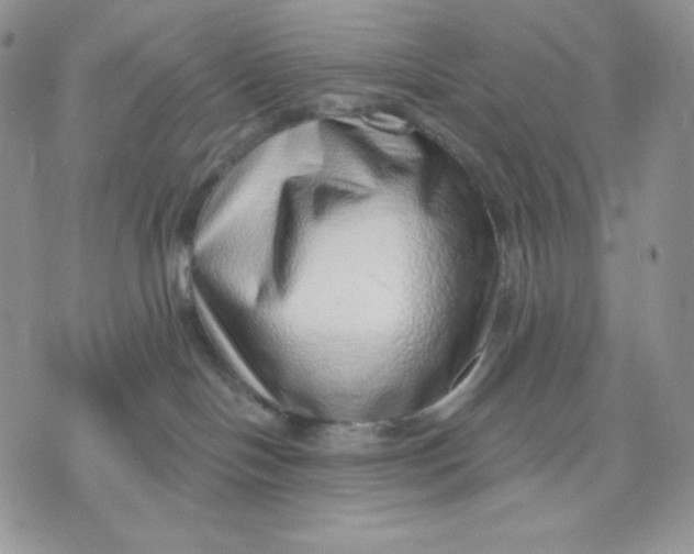 X0000070820094200607071727