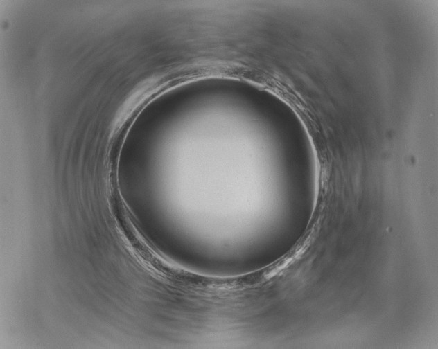 X0000070820101200607071726