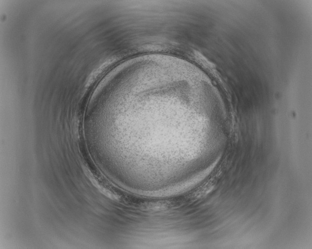 X0000070820106200607071726