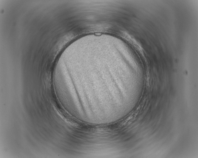 X0000070820107200607071726