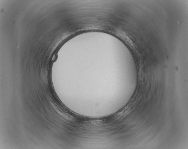 X0000070820108200607071726