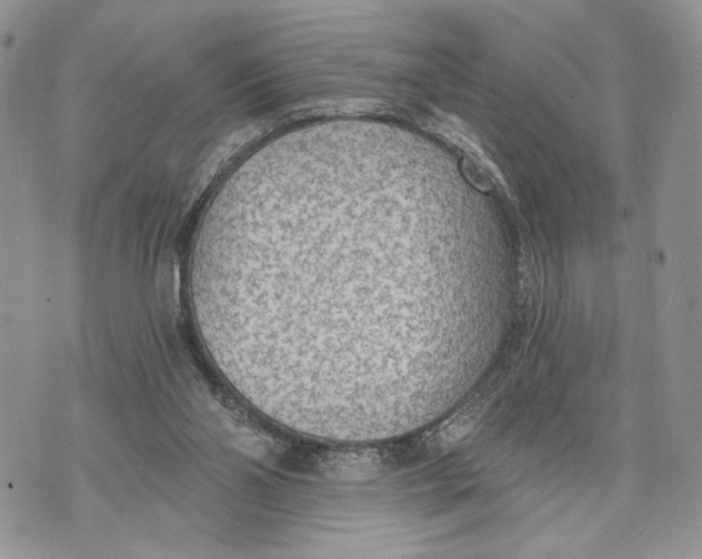 X0000070820110200607071726