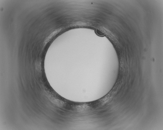 X0000070820112200607071726