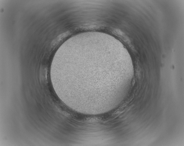 X0000070820115200607071726