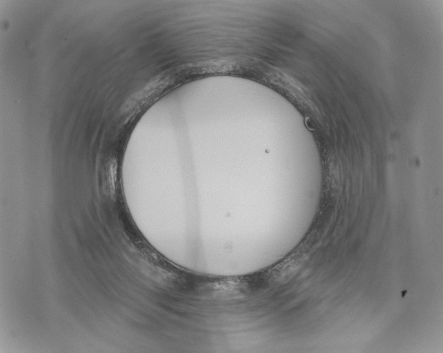 X0000070820118200607071726