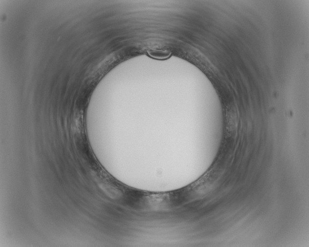 X0000070820126200607071726