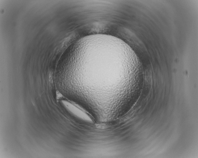 X0000070820127200607071726