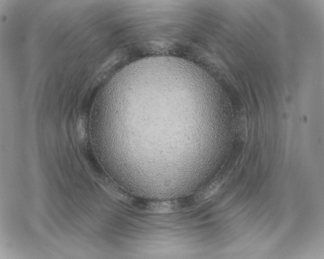 X0000070820131200607071726