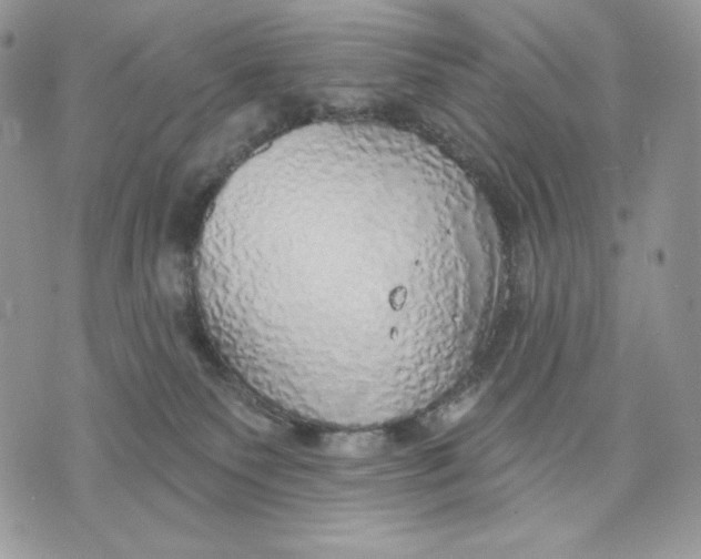 X0000070820135200607071726