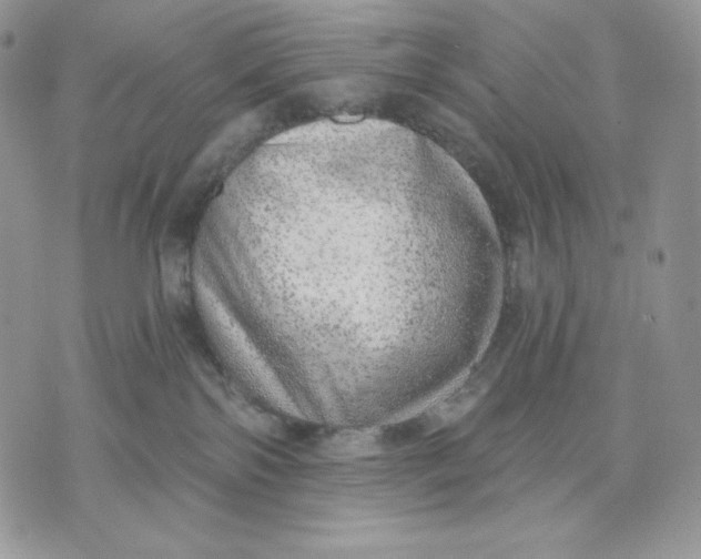 X0000070820138200607071726