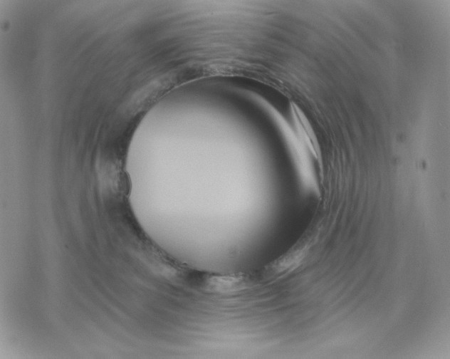 X0000070820139200607071726