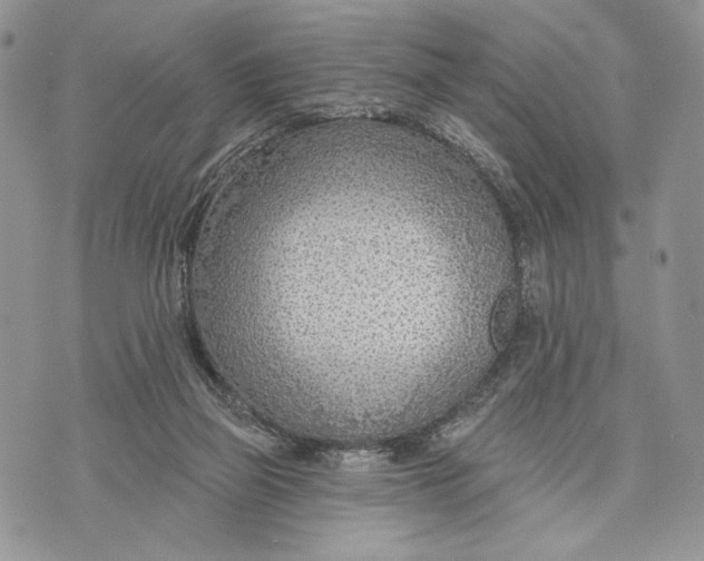 X0000070820165200607071725