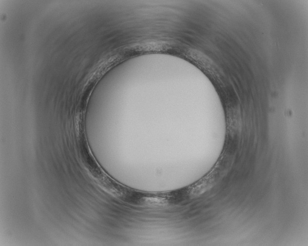 X0000070820167200607071725