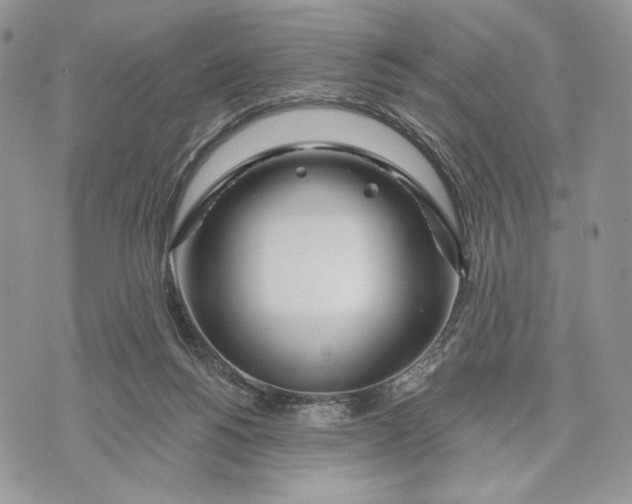 X0000070820168200607071725