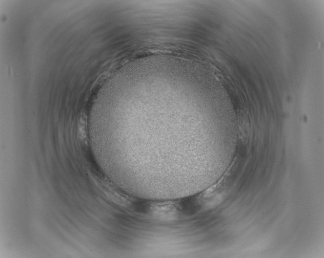 X0000070820175200607071725