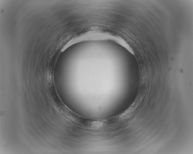 X0000070820176200607071726