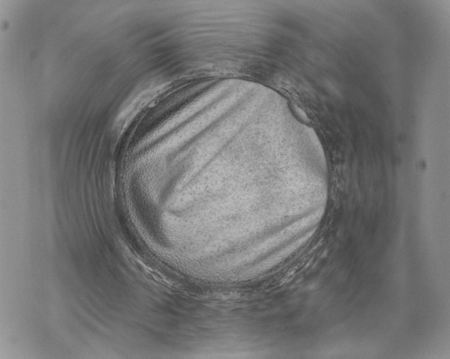X0000070820194200607071725