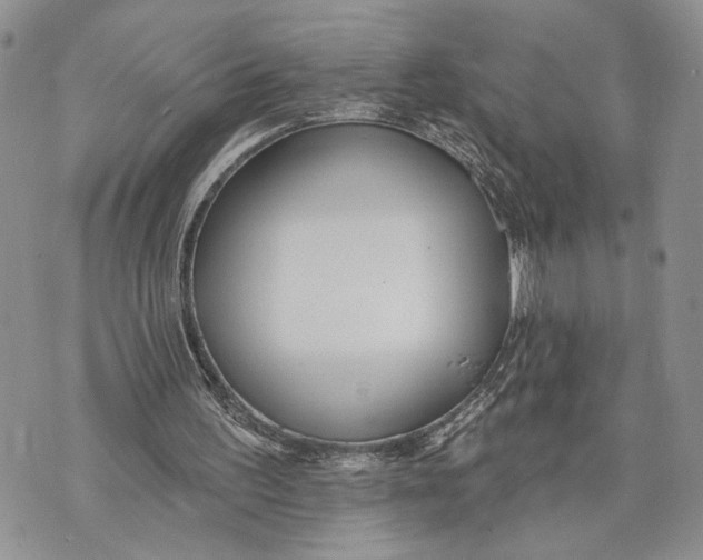 X0000070820195200607071725